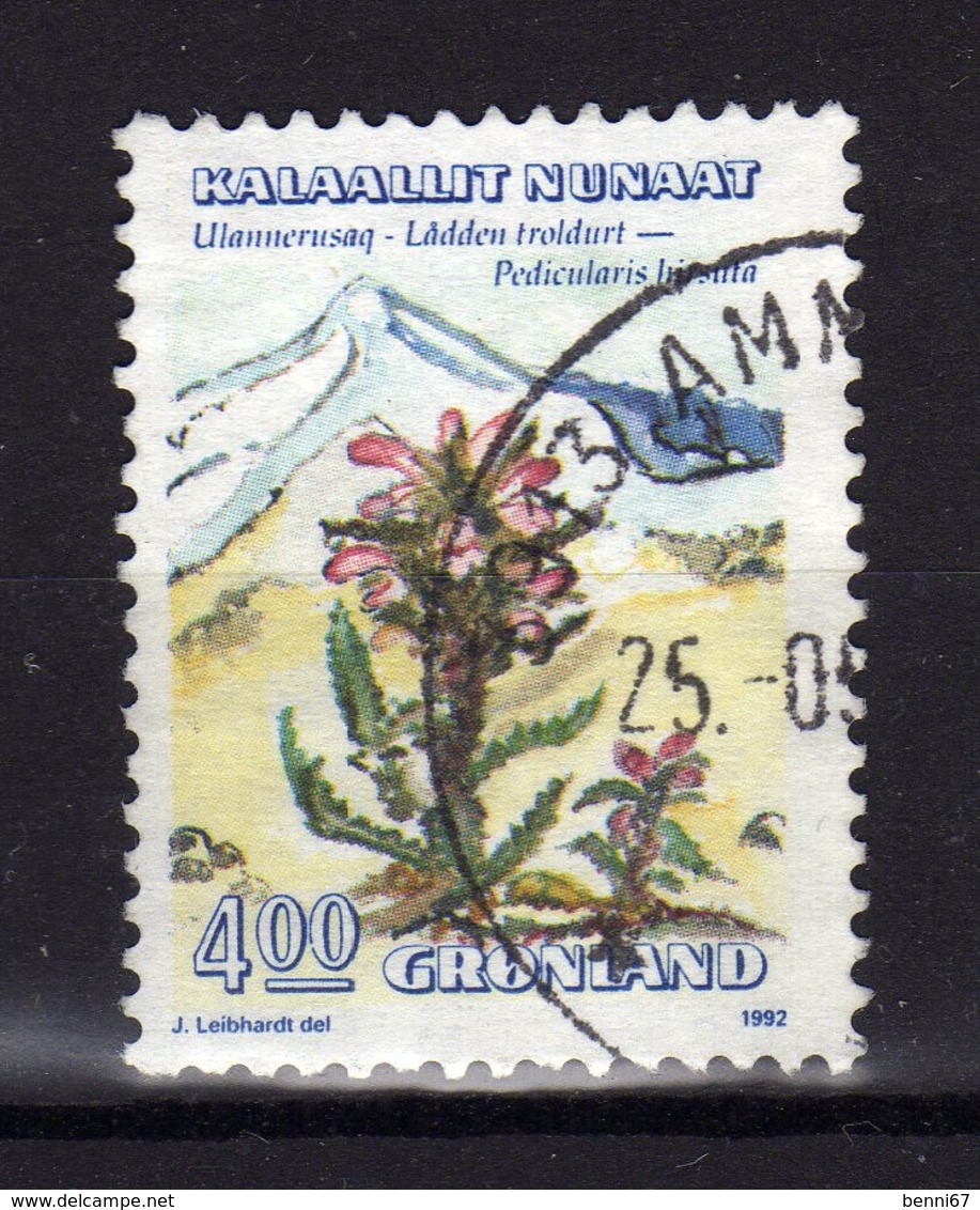 GROENLAND Greenland 1992 Fleur Flower Yv 211 Obl - Gebraucht