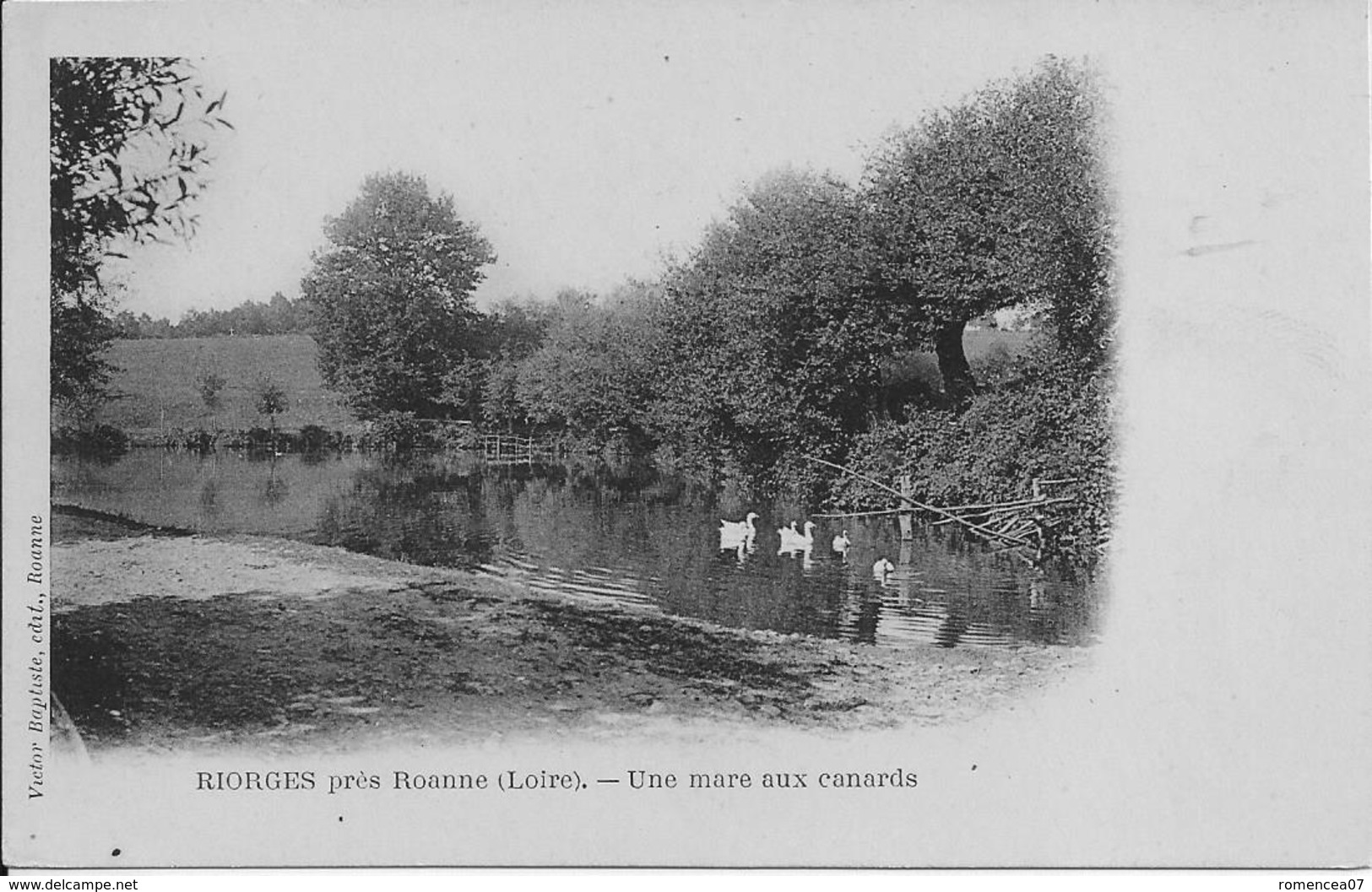 RIORGES (Loire) - Une MARE Aux CANARDS - Carte "précurseur" - Non Voyagée - Riorges