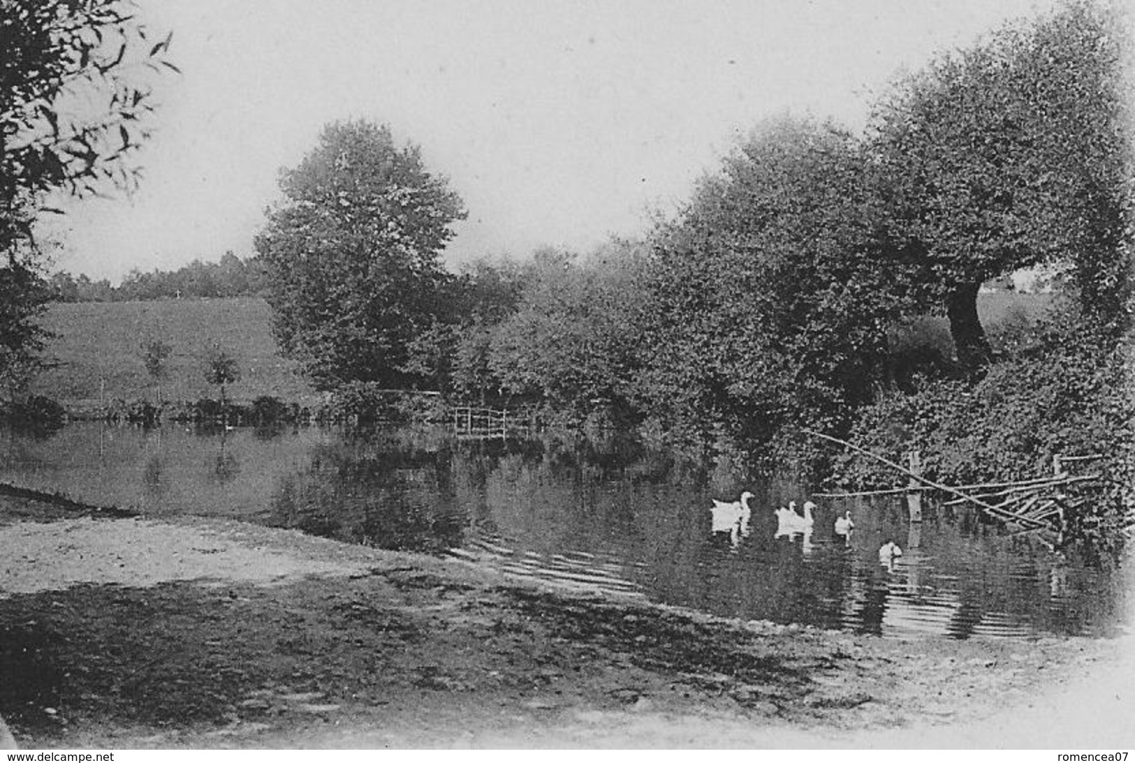 RIORGES (Loire) - Une MARE Aux CANARDS - Carte "précurseur" - Non Voyagée - Riorges