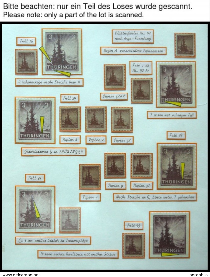 THÜRINGEN 92/3 **,o,Brief,* , Ausstellungssammlung 3 Und 4 Pf. Tannen Im Thüringer Wald, Spezialisiert Nach Papieren, Fa - Sonstige & Ohne Zuordnung