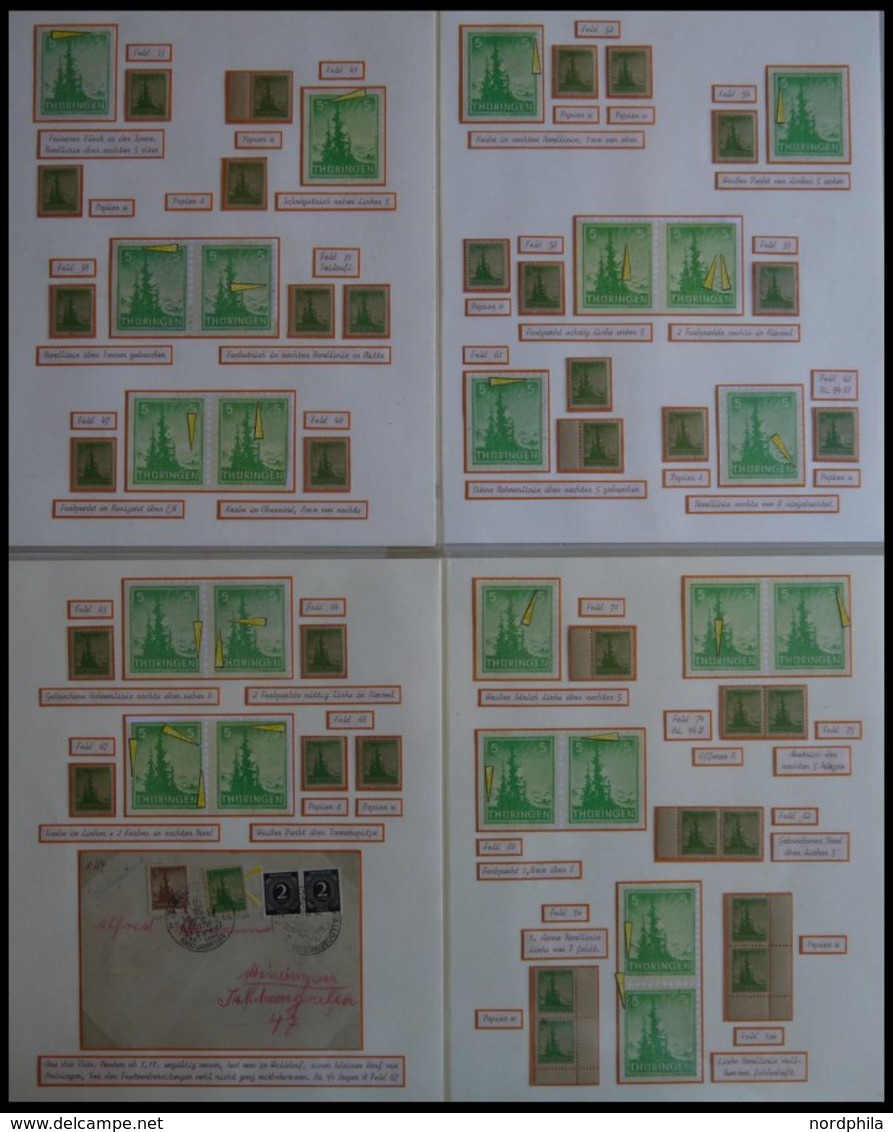 THÜRINGEN 94 **,o,Brief,* , Ausstellungssammlung 5 Pf. Tannen Im Thüringer Wald, Spezialisiert Nach Papieren, Farben Und - Otros & Sin Clasificación