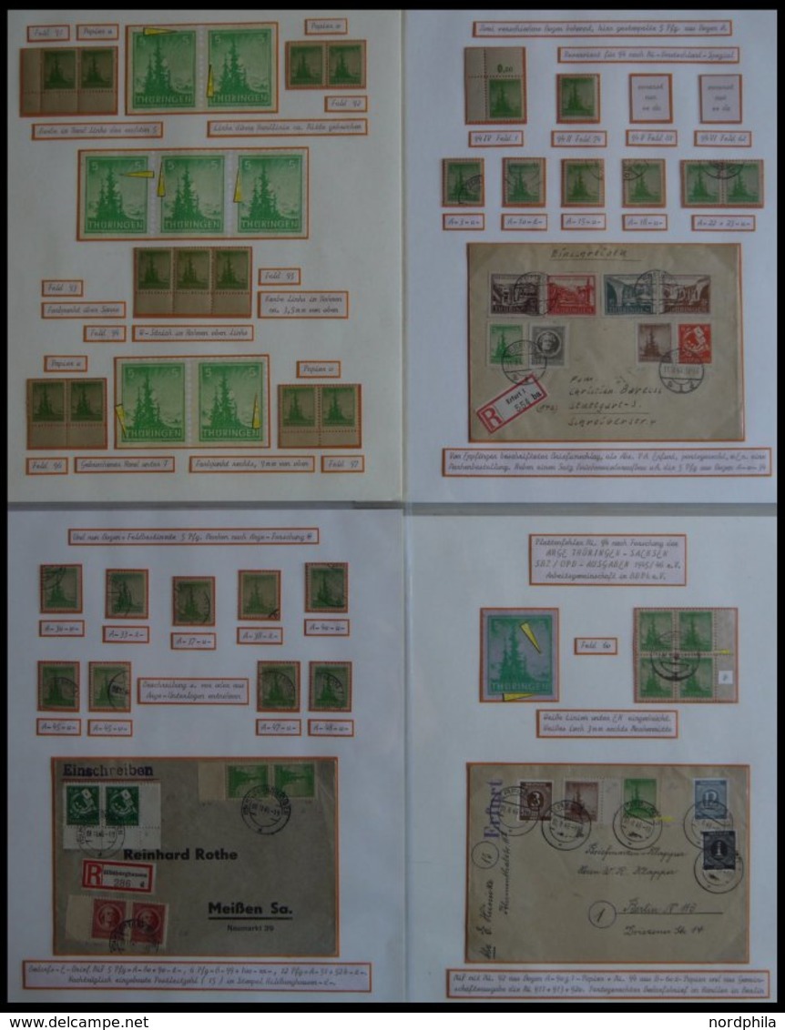 THÜRINGEN 94 **,o,Brief,* , Ausstellungssammlung 5 Pf. Tannen Im Thüringer Wald, Spezialisiert Nach Papieren, Farben Und - Other & Unclassified