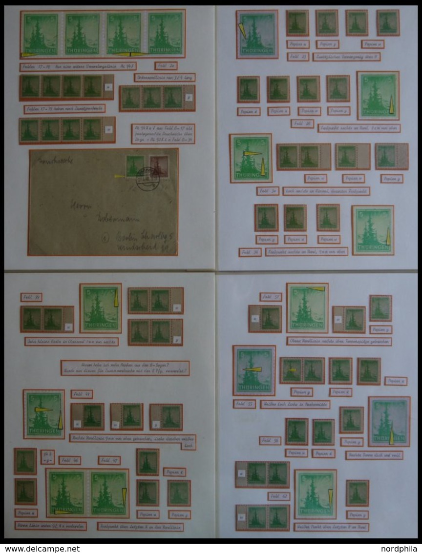 THÜRINGEN 94 **,o,Brief,* , Ausstellungssammlung 5 Pf. Tannen Im Thüringer Wald, Spezialisiert Nach Papieren, Farben Und - Autres & Non Classés