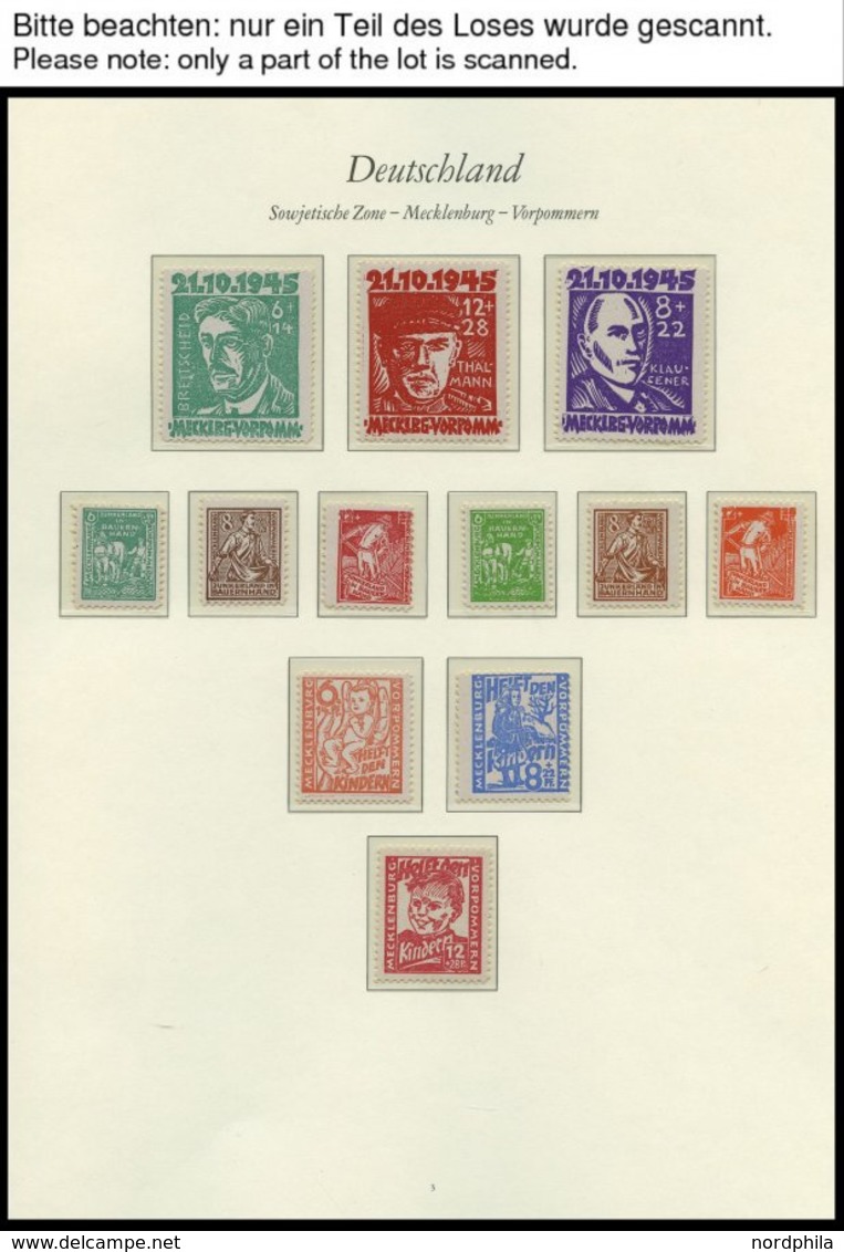 SAMMLUNGEN, LOTS **, 1945-49, Saubere Sammlung Mit Mittleren Ausgaben Und Blocks (u.a. Bl. 5X/Y Und 6) Im Borek Falzlosa - Autres & Non Classés