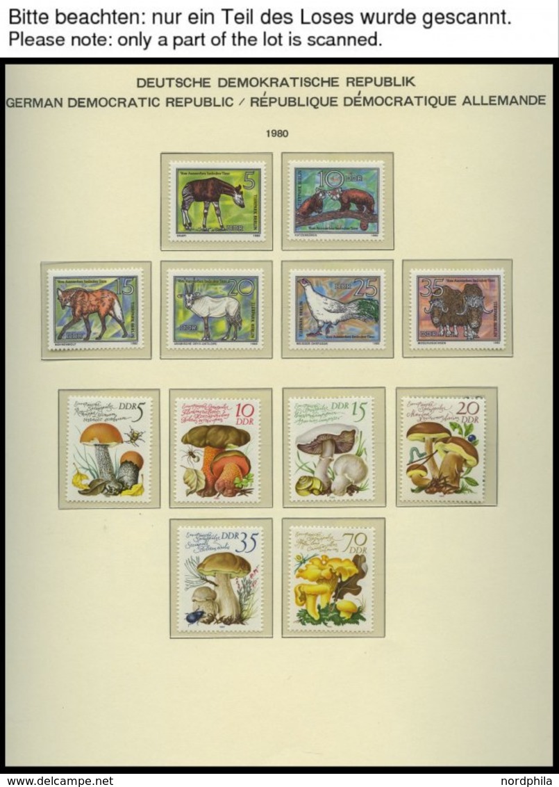 SAMMLUNGEN **, Bis Auf Mi.Nr. 2500 Und 2548 Komplette Postfrische Sammlung DDR Von 1980-83 Im Schaubek Falzlosalbum, Pra - Collezioni