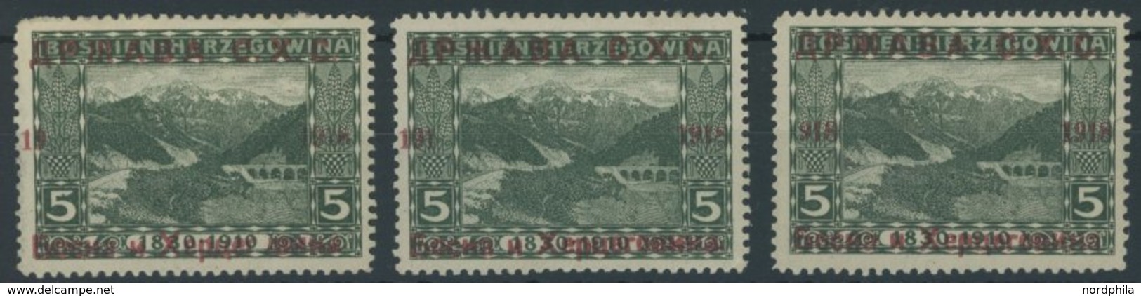 JUGOSLAWIEN 2 *, 1918, 5 H. Dunkelgrün, 3 Werte Mit Aufdruckfehler 19, 191 Und 918, Falzreste, Feinst/Pracht - Sonstige & Ohne Zuordnung