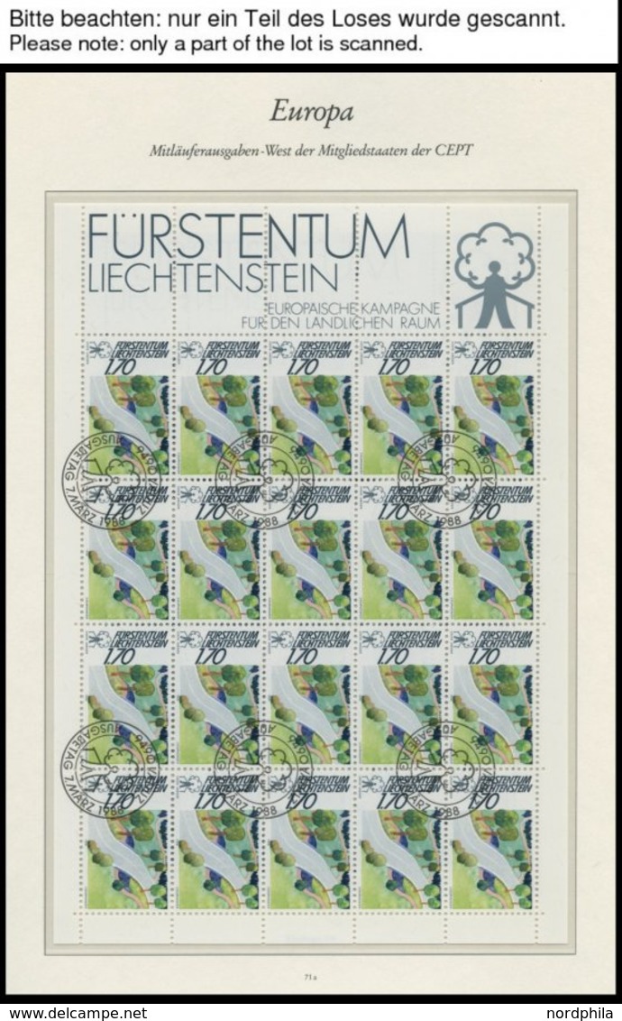 LIECHTENSTEIN 939-41KB O, 1988, Europäische Kampagne Für Den Ländlichen Raum Im Kleinbogensatz Mit Ersttagsstempeln, Pra - Altri & Non Classificati