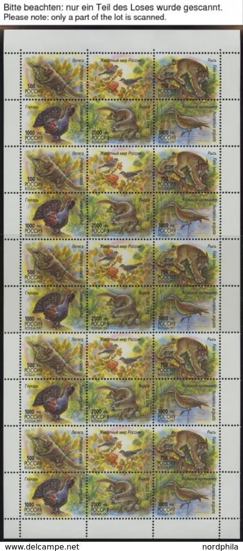 RUSSLAND KB **, 1997, Einheimische Fauna Und Russisches Museum, 5 Kleinbogen (Mi.Nr. 597-601, 623-26), Pracht, Mi. 70.- - Sonstige & Ohne Zuordnung