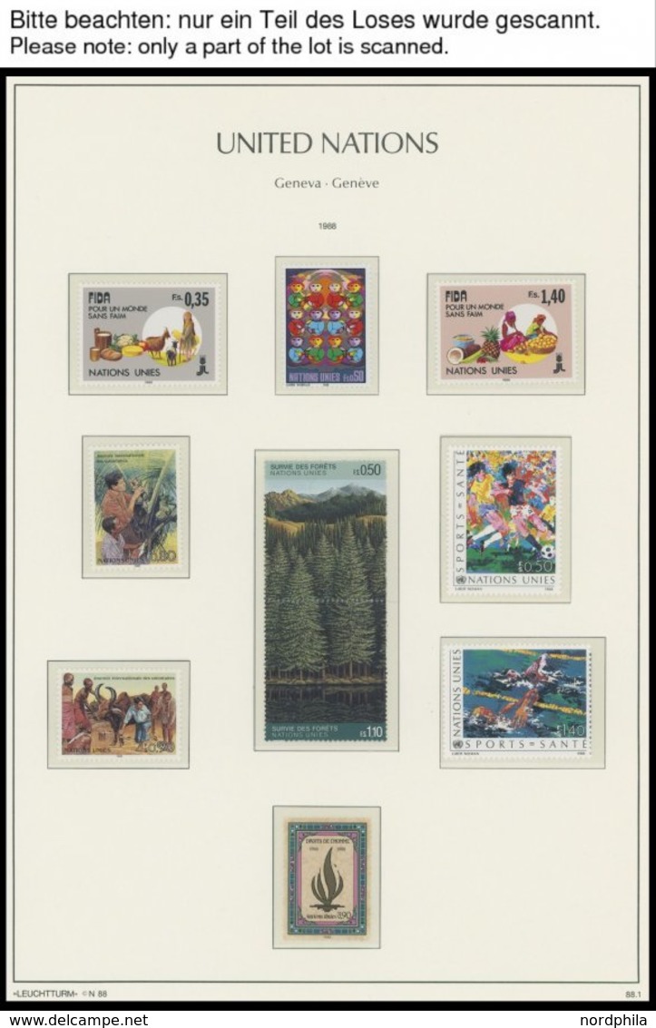 UNO - GENF **, Bis Auf 2 Werte Komplette Postfrische Sammlung UNO-Genf Von 1981-92 Auf Leuchtturm Falzlosseiten, Prachte - Otros & Sin Clasificación