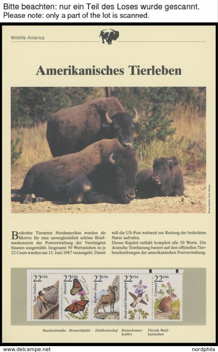 SONSTIGE MOTIVE Brief,** , 1987,Wildlife America - Amerikanisches Tierleben Im Spezial Ringbinder, Dabei 50 Verschiedene - Altri & Non Classificati