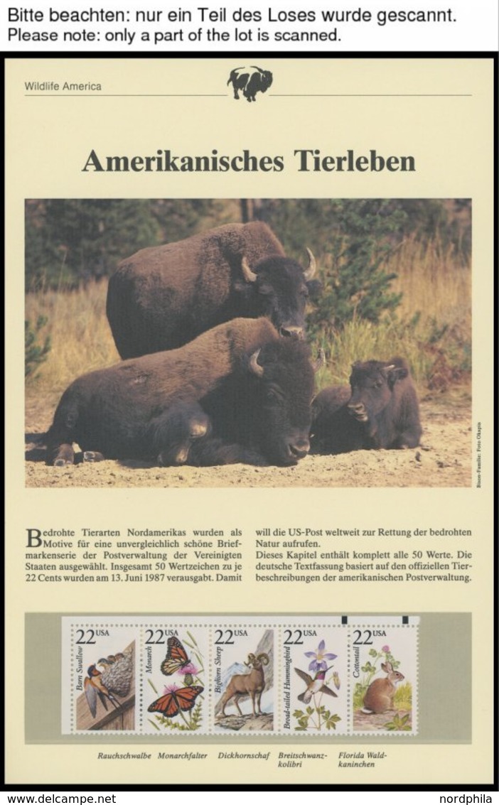 SONSTIGE MOTIVE Brief,** , 1987,Wildlife America - Amerikanisches Tierleben Im Spezial Ringbinder, Dabei 50 Verschiedene - Other & Unclassified