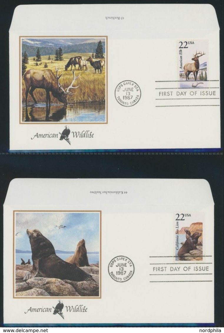 SONSTIGE MOTIVE Brief,** , 1987,Wildlife America - Amerikanisches Tierleben Im Spezial Ringbinder, Dabei 50 Verschiedene - Otros & Sin Clasificación