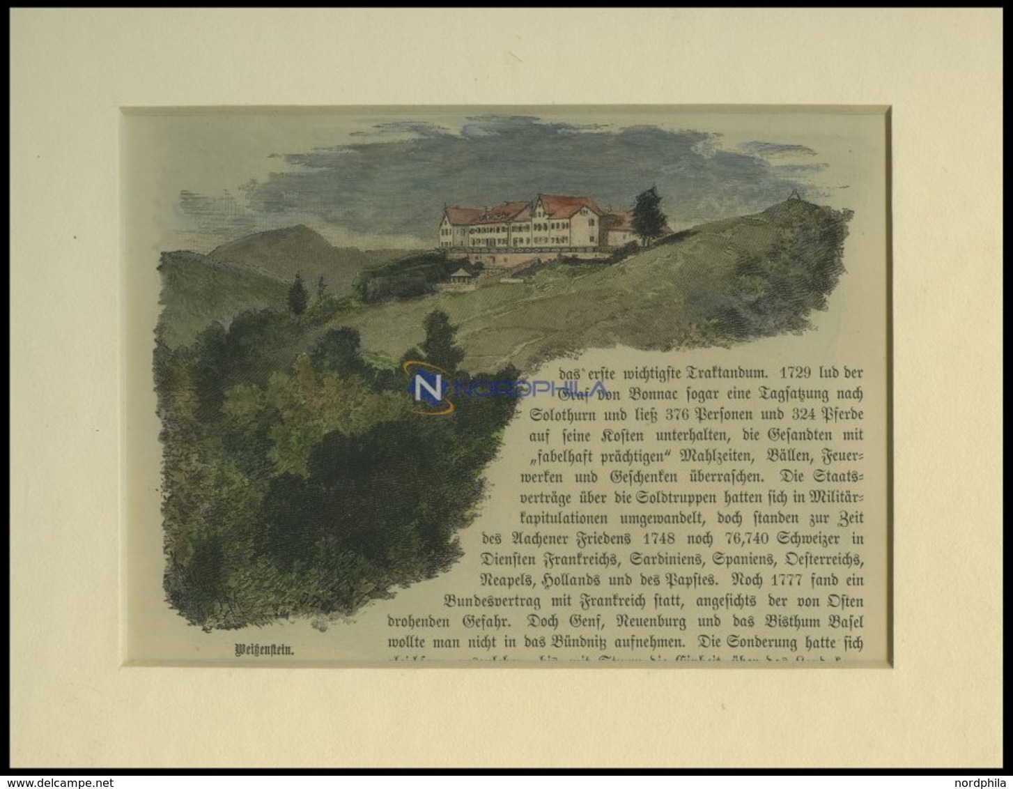 SCHLOSS SOLOTHURN, Kolorierter Holzstich Um 1880 - Litografia