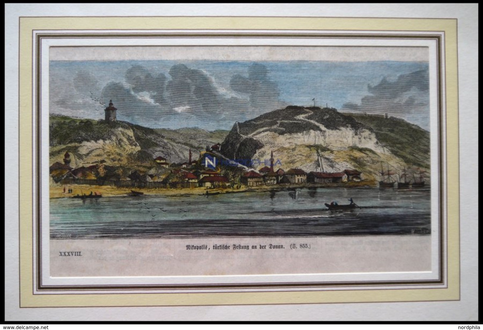 NIKOPOLI, Festung An Der Donau, Kolorierter Holzstich Um 1880 - Litografia