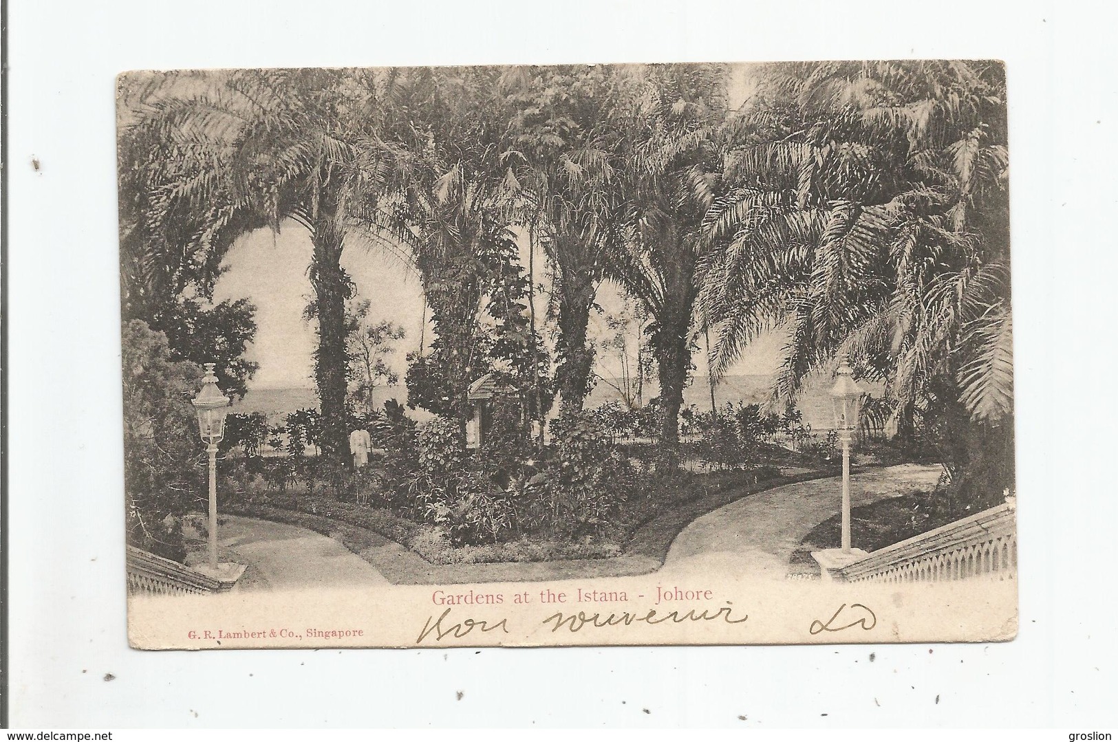 JOHORE (JOHOR) GARDENS AT THE ISTANA 1906 - Malaysia