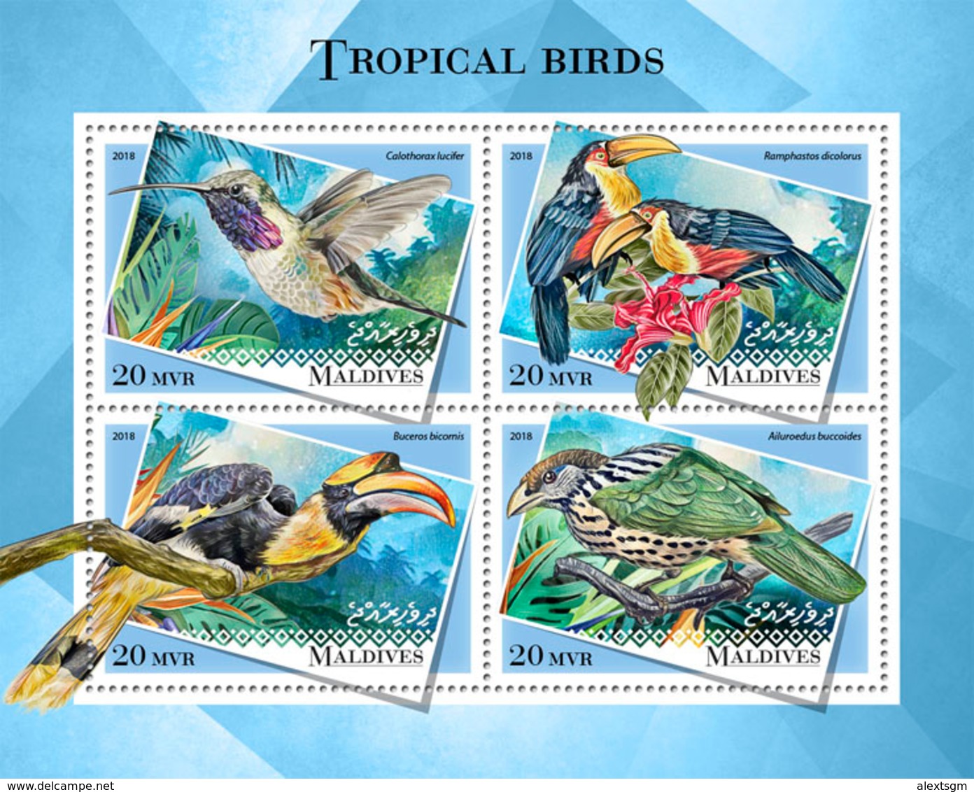 MALDIVES 2018 - Tropical Birds, Colibri. Official Issue - Hummingbirds