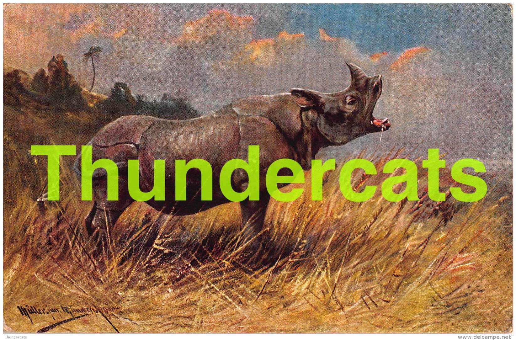 CPA ILLUSTRATEUR MULLER AUGUST MUNCHEN ARTIST SIGNED RHINO RHINOCEROS - Müller, August - München