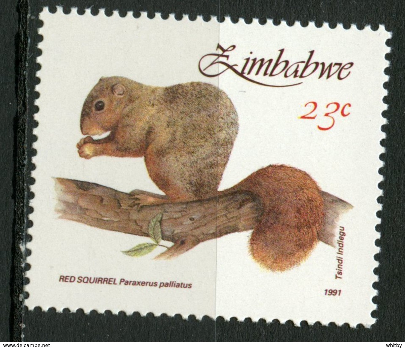 Zimbabwe 1991 23c Red Squirrel Issue #633  MNH - Zimbabwe (1980-...)