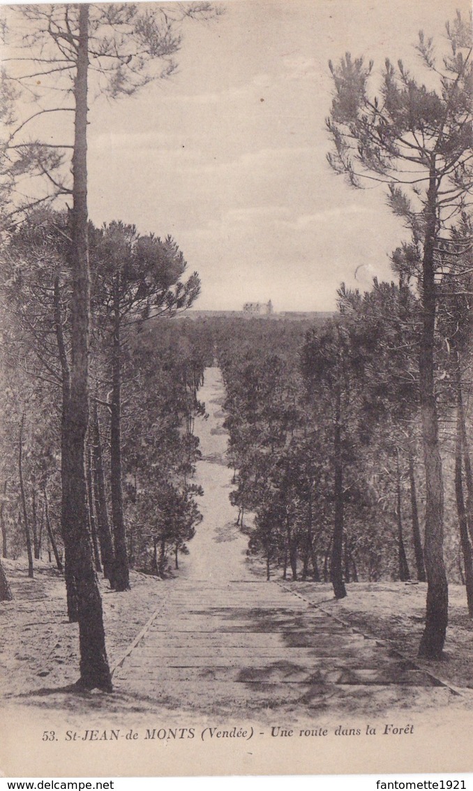 ST JEAN DE MONTS UNE ROUTE DANS LA FORET (dil375) - Saint Jean De Monts