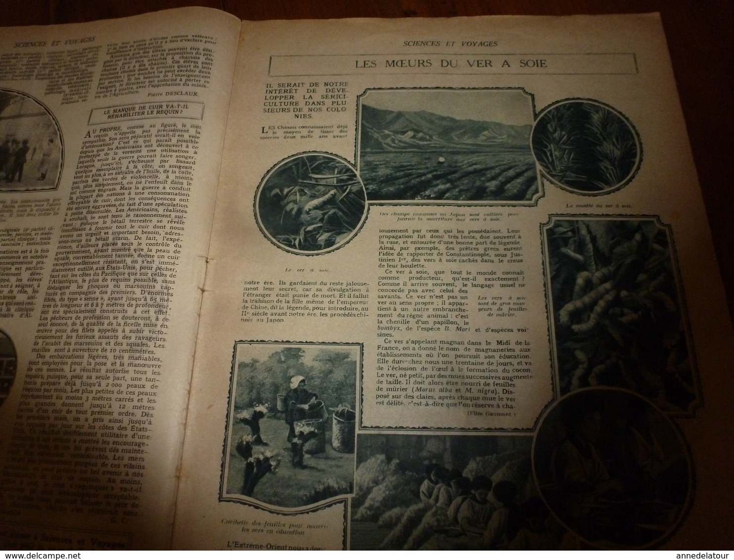 1922 SEV: Les Danseuses Royales Du Cambodge , Sisowath; Les Canaques;Devenir Vétérinaire;Le Ver A Soie;Egypte;etc - 1900 - 1949