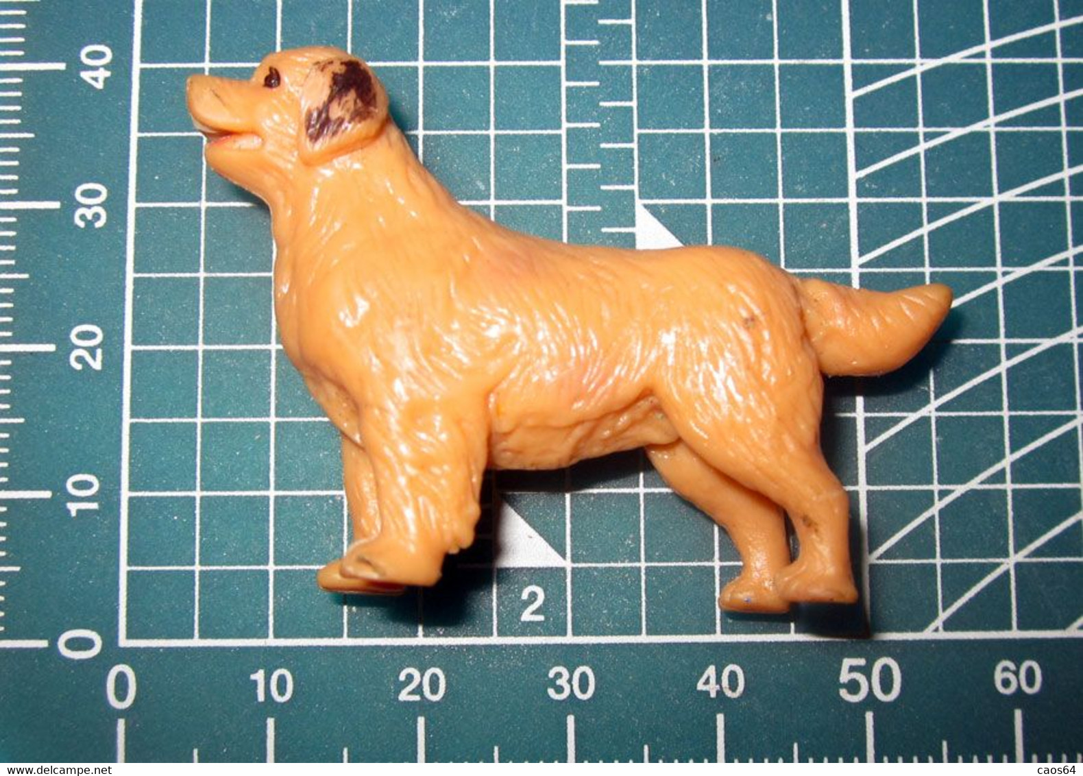 CANE DOG MINIATURA - Cani