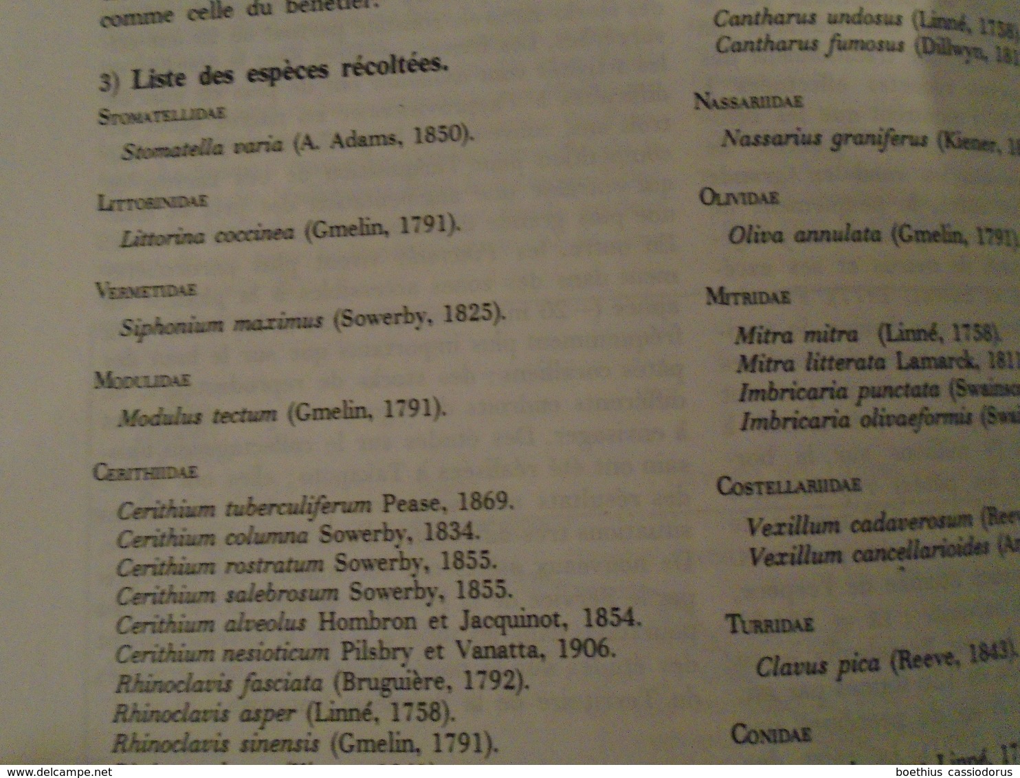 L'ENVIRONNEMENT DE L'ATOLL  DE TAKAPOTO-TUAMOTU  Journal De La Société Des Océanistes  N° 62 TOME XXXV MARS 1979 - Outre-Mer