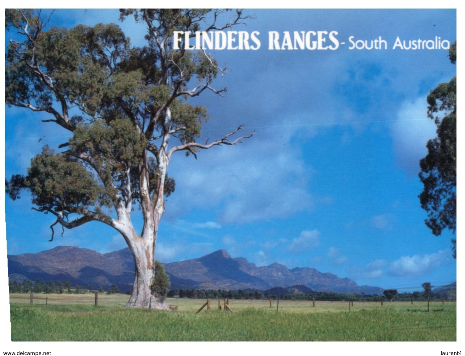 (500) Australia - (with Stamp At Back Of Postcard) - SA - Flinders Ranges - Flinders Ranges