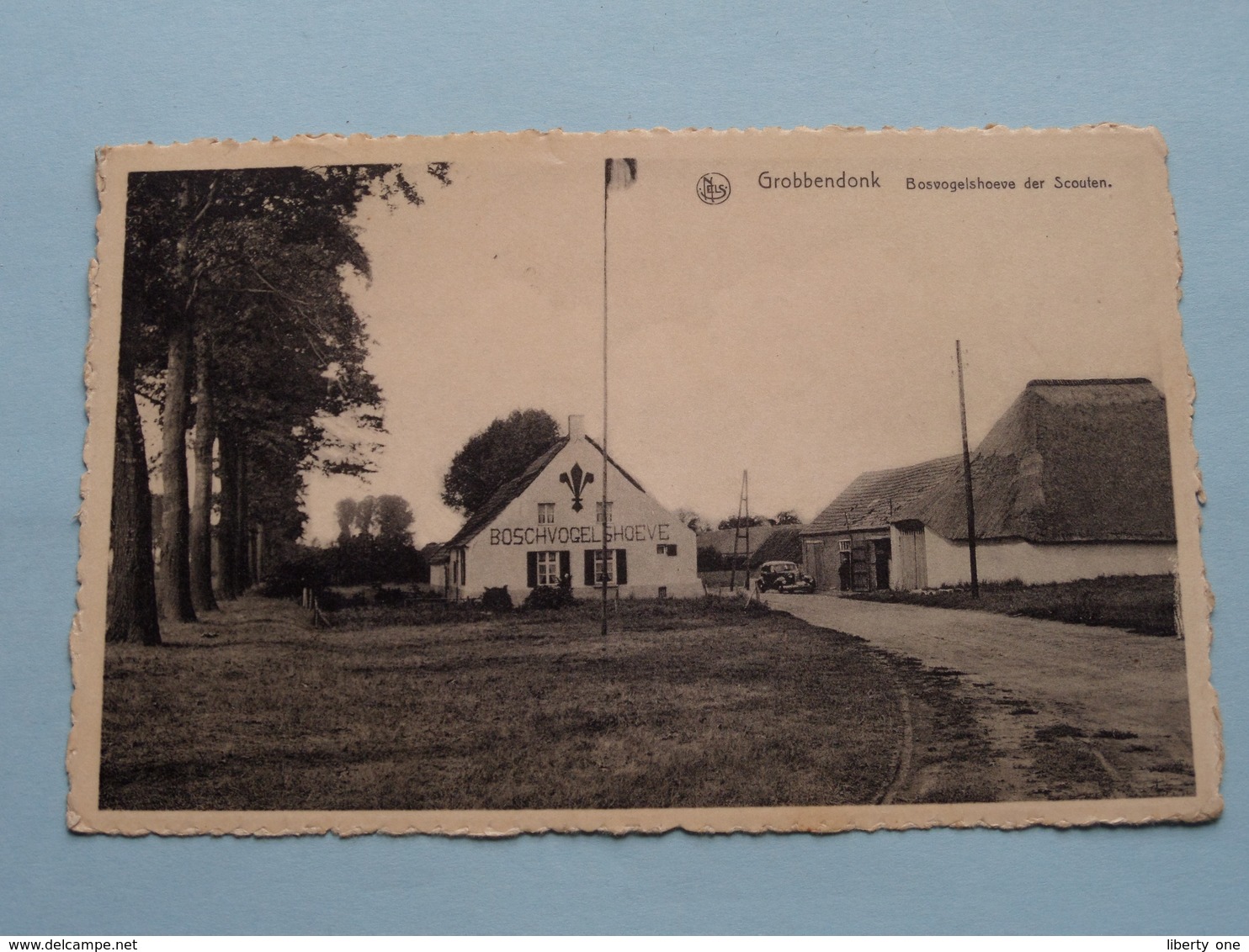 Bosvogelshoeve Der Scouten ( Schoofs ) Anno 1950 ( Zie Foto's ) ! - Grobbendonk