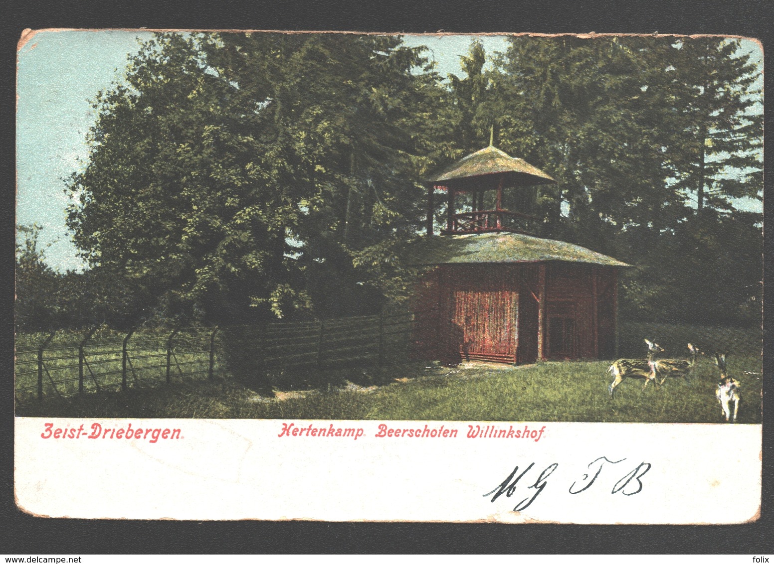 Driebergen / Zeist - Driebergen - Hertenkamp Beerseholen Willinkshof - Enkele Rug - 1905 - Hirsch / Deer / Cerf / Hert - Driebergen – Rijsenburg