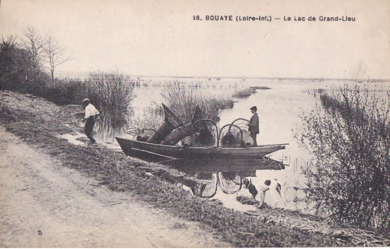 44  BOUAYE  Jolie Vue Animée Bord Du  LAC De GRANDLIEU Retour De PECHE BARQUE Chien Sur Le Chemin - Bouaye