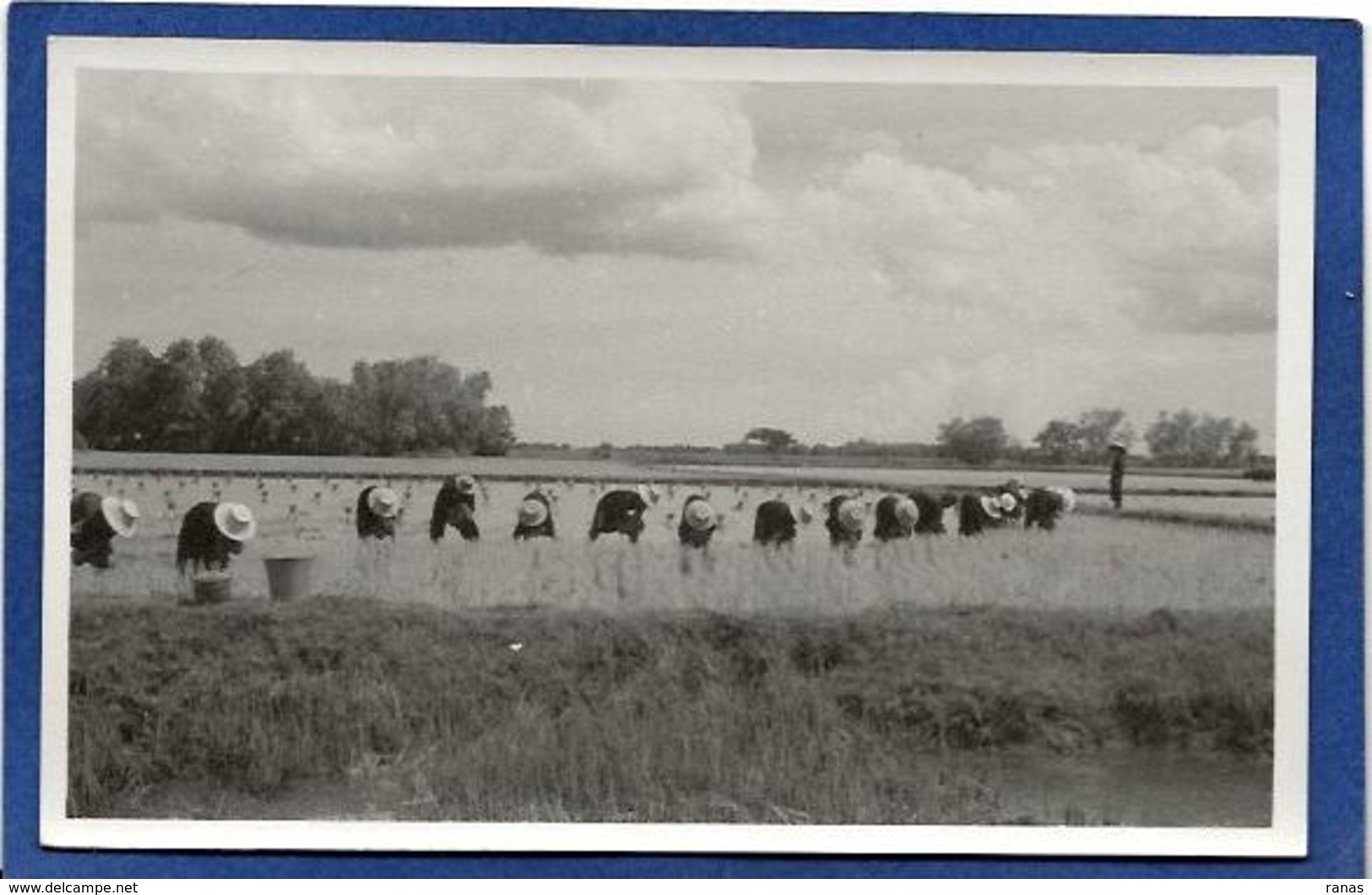 CPA SIAM Thaïlande Carte Photo RPPC Métier Non Circulé - Thailand