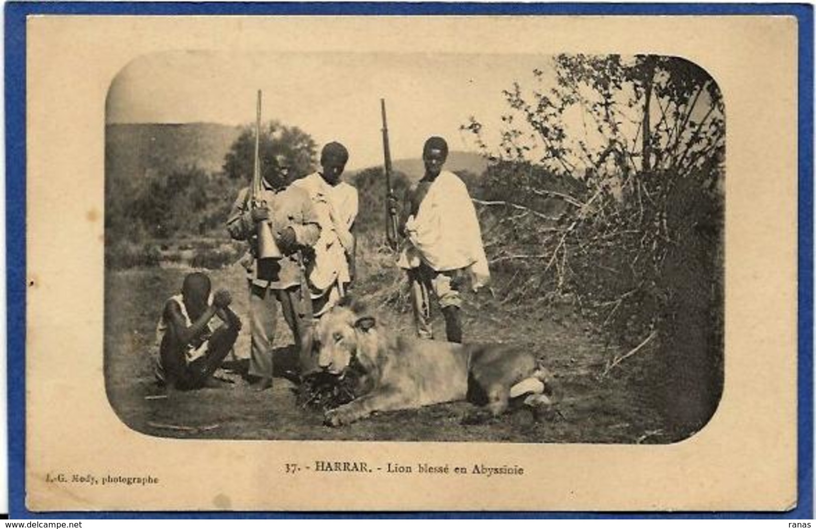 CPA Chasse Chasseur Lion Harrar Ethiopie Ethiopia Ethnic Afrique Noire Type Non Circulé Abyssinie - Äthiopien