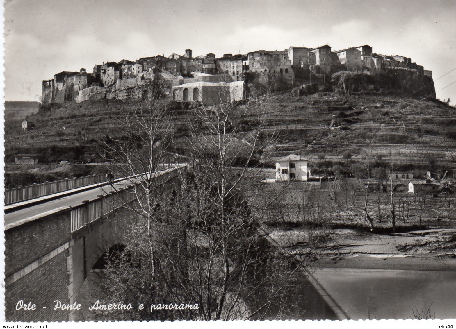 Lazio - Viterbo -. Orte - Ponte Amerino E Panorama - - Viterbo