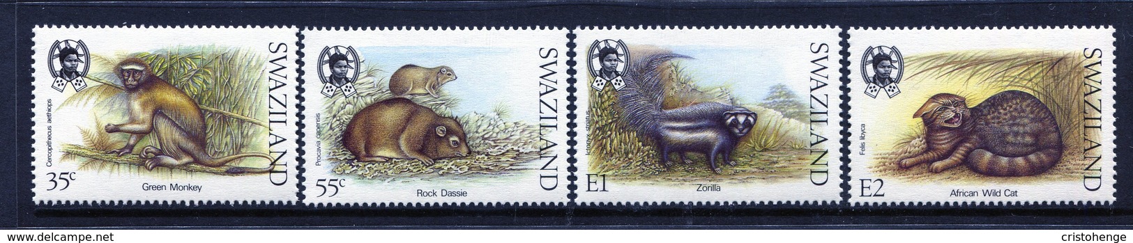 Swaziland 1989 Small Mammals Set MNH (SG 549-552) - Swaziland (1968-...)
