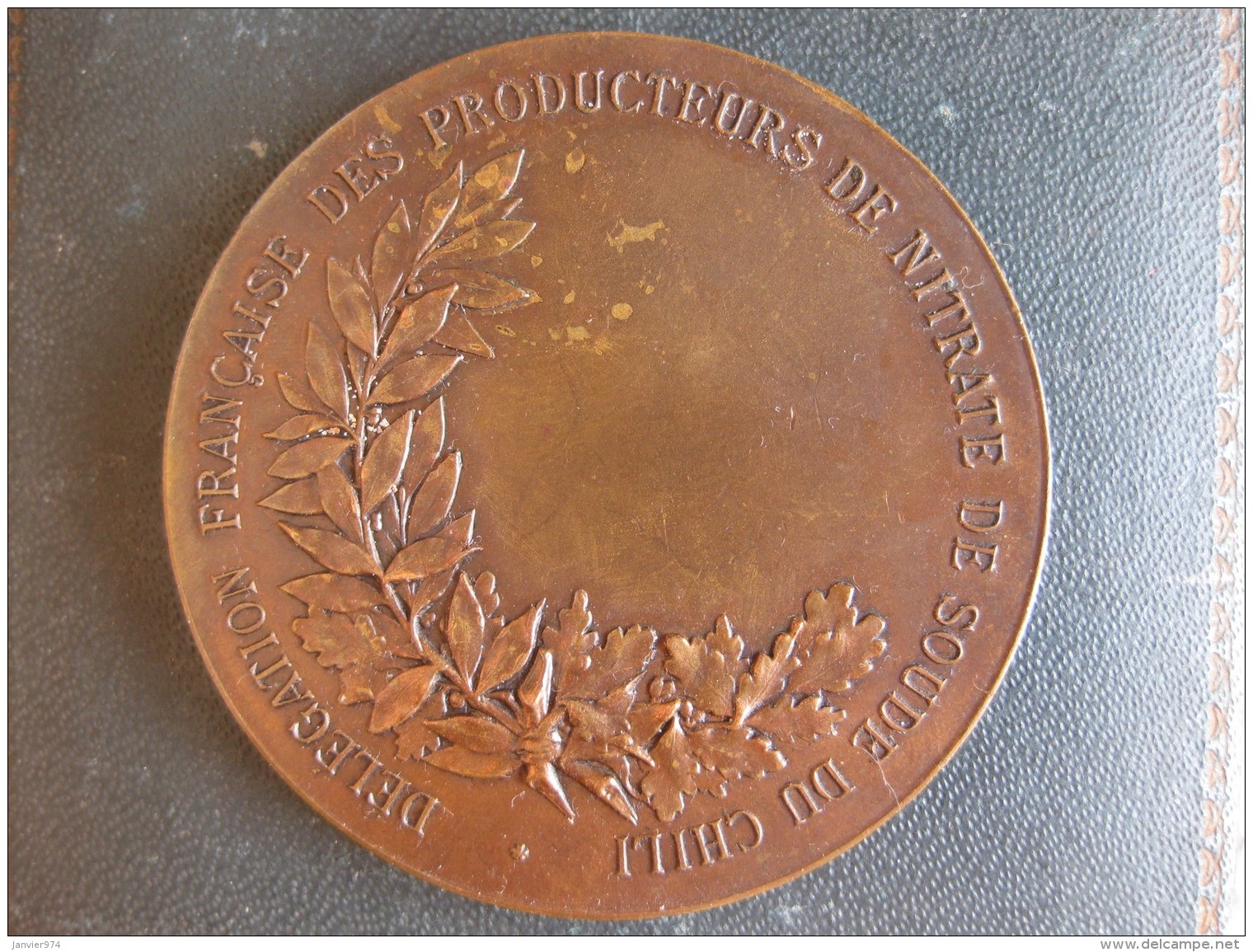 Médaille Producteurs De Nitrate De Soude Du Chili, Par Louis Patriache - Autres & Non Classés