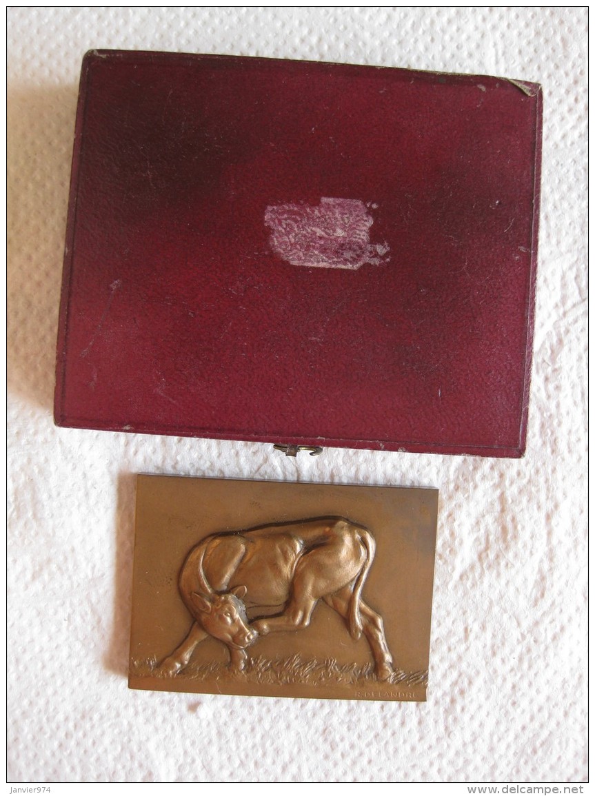 Médaille Veau. Offert Par Ph. Monin Député De L&rsquo;Yonne 1946-1958, Par DELANDRE - Autres & Non Classés