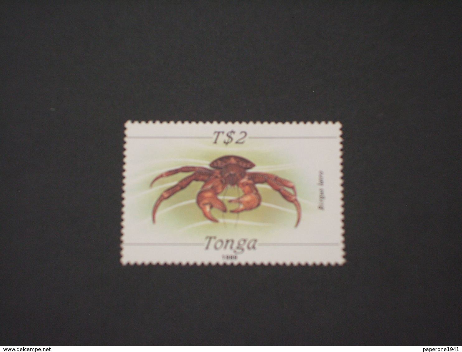 TONGA - 1989 CROSTACEO TS 2 - NUOVI(++) - Tonga (1970-...)