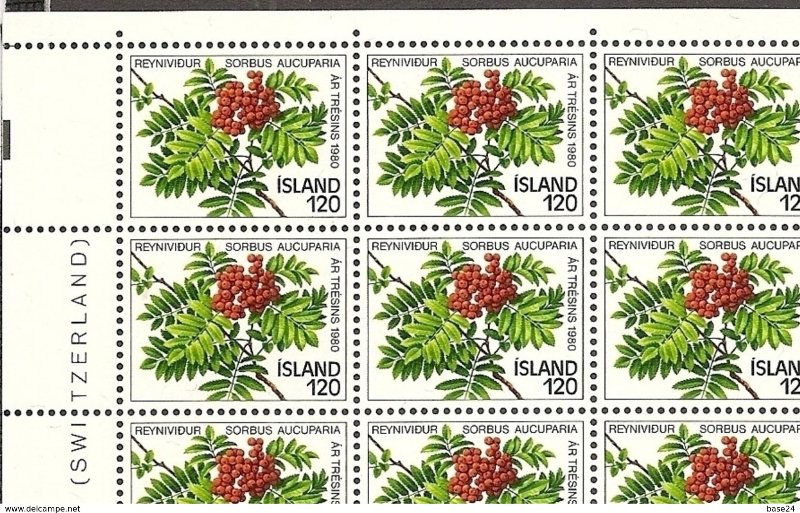 1980 Islanda Iceland ALBERI  TREES 50 Serie (507) In Foglio MNH** - Nuovi