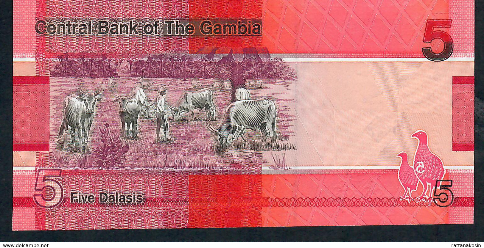 GAMBIA NLP 5 DALASIS 2019    UNC. - Gambie
