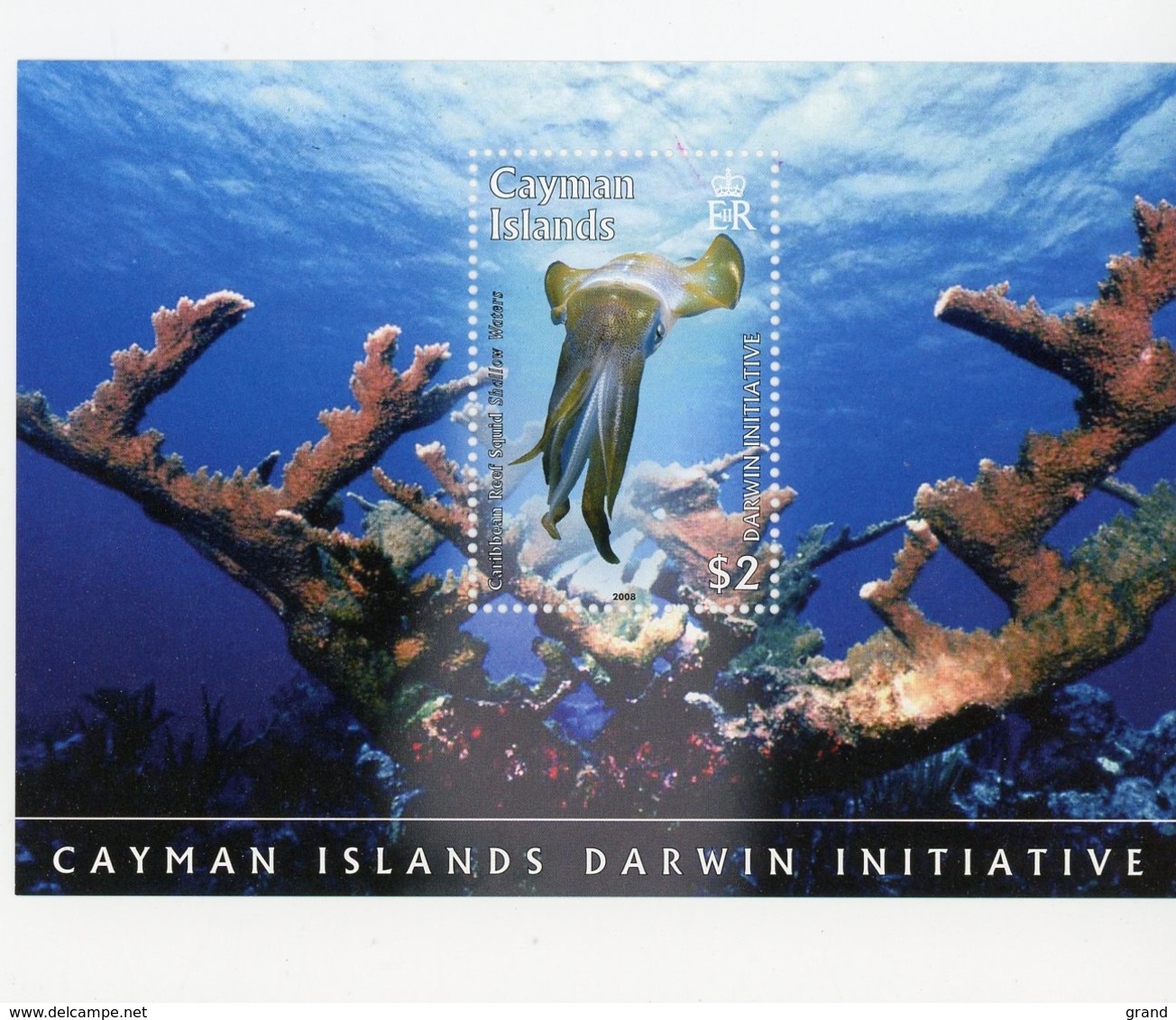 Cayman Island 2008-Poulpe ,corauxYT B48***MNH - Peces