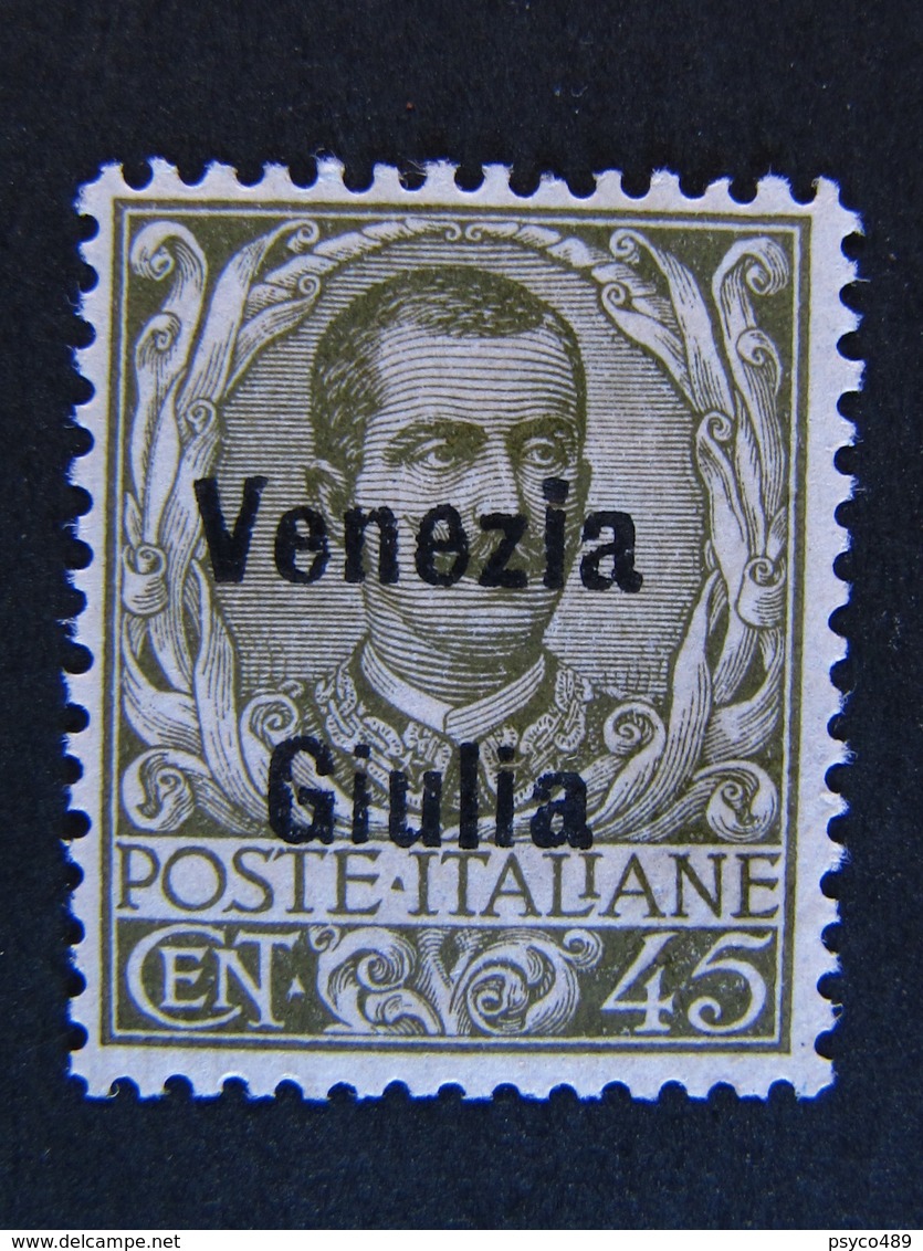 ITALIA Venezia Giulia -1918- "Stemma Sopr." C. 45 MH* (descrizione) - Venezia Giulia