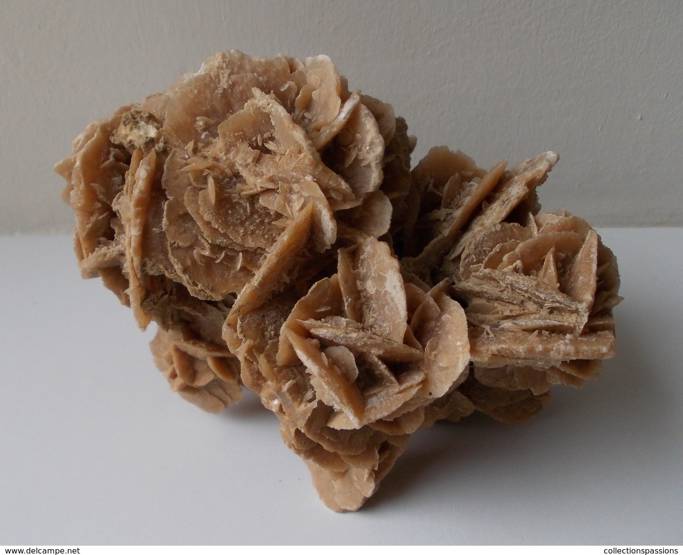 - Rose Des Sables. 528g 12X8,5cm - - Minerals