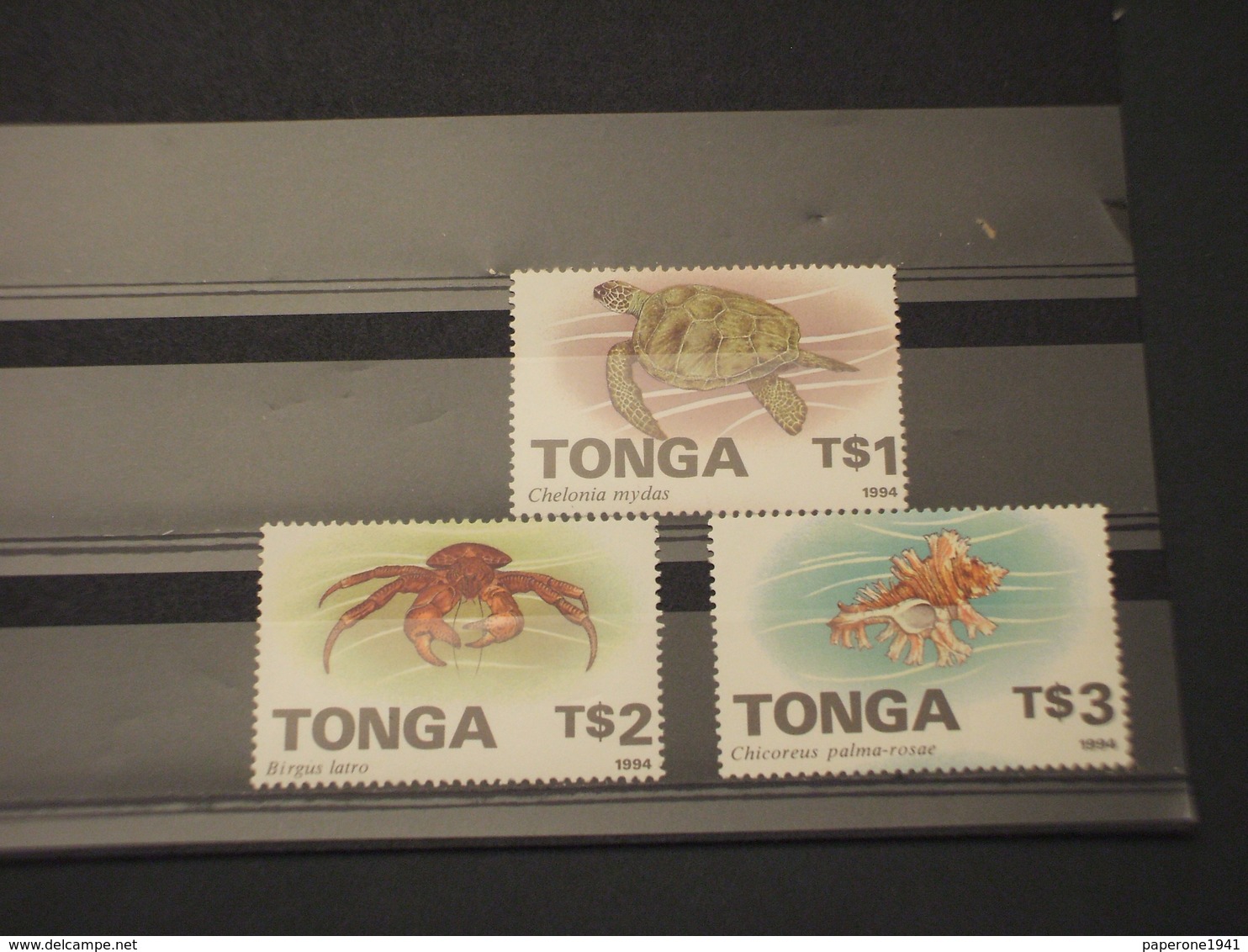 TONGA - 1994 FAUNA MARINA  3 VALORI - NUOVO(++) - Tonga (1970-...)