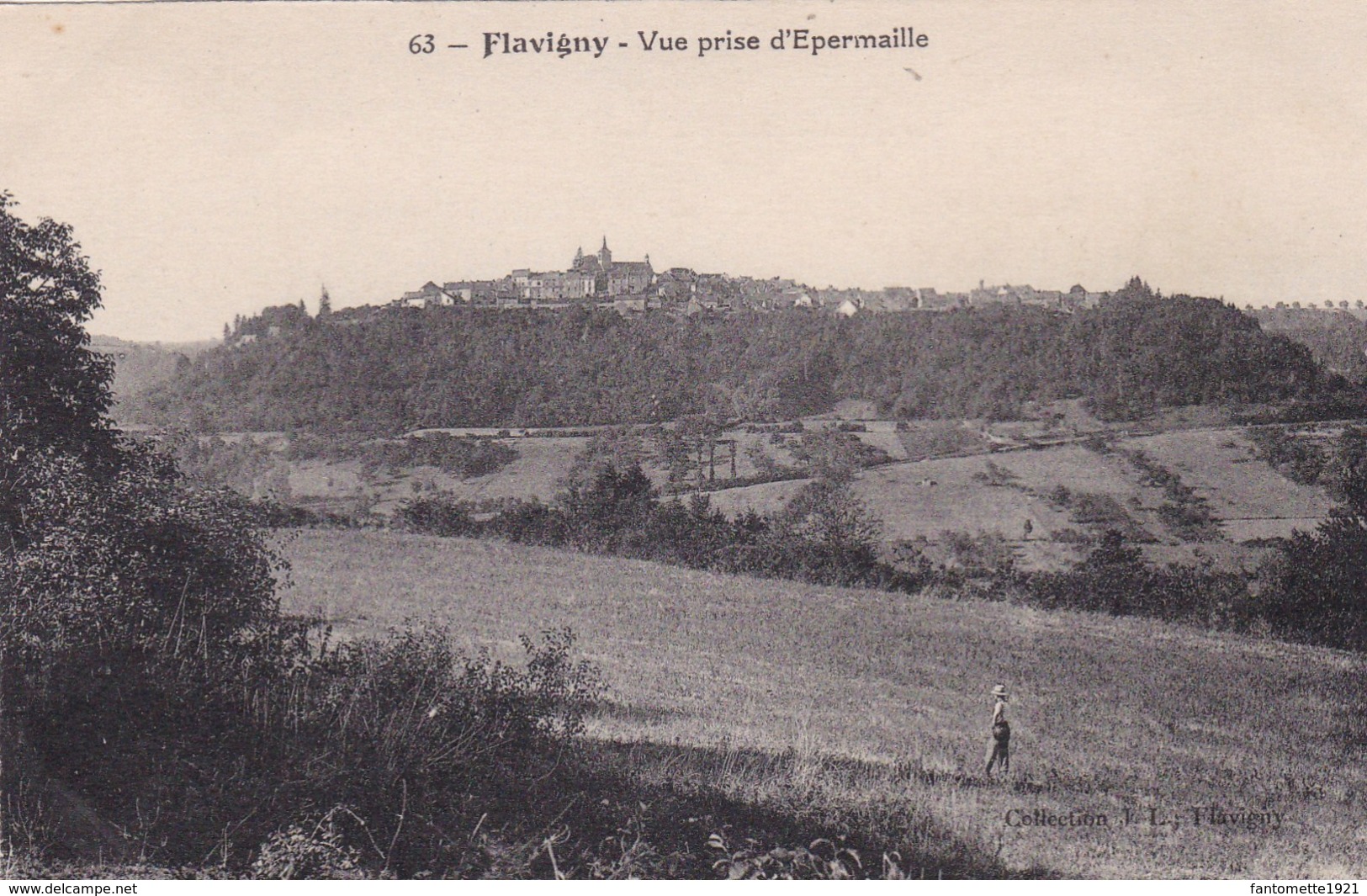 FLAVIGNY VUE PRISE D'EPERMAILLE (dil401) - Autres & Non Classés