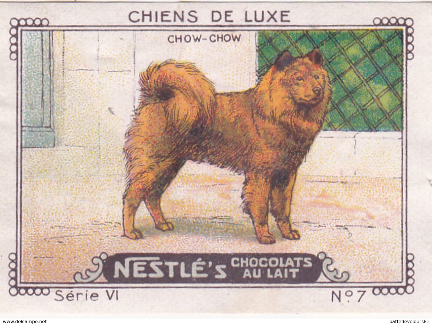 CHROMO 4 X 6 Animal Chien De Luxe Dog Hund Chow-Chow - Nestlé