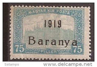 1919  18-34   BARANYA  UNGARN SERBIA JUGOSLAVIJA OVERPRINT  INTERESSANT  - TYP II NEVER HINGED - Baranya