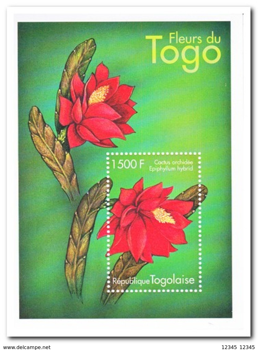 Togo 2000, Postfris MNH, Flowers, Cactus Orchidee - Togo (1960-...)