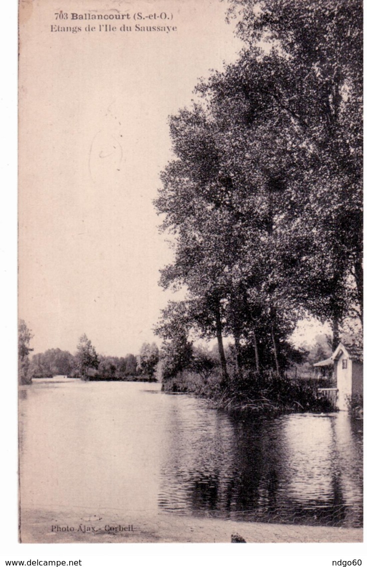 Ballancourt - Etangs De L ' Ile Du Saussaye - Ballancourt Sur Essonne