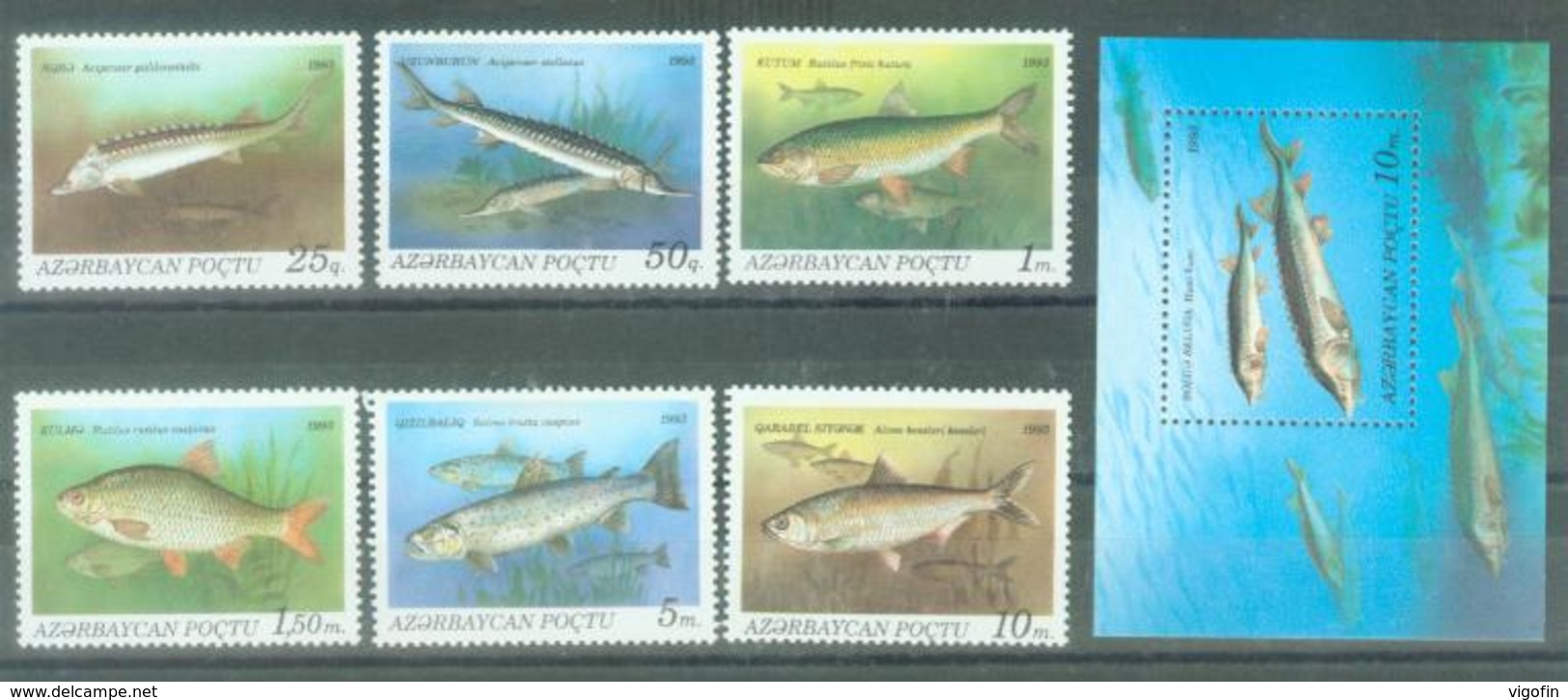 AZ 1993-98-104 FISHS, ASERBEDIAN, 1 X 6v + S/S, MNH - Aserbaidschan