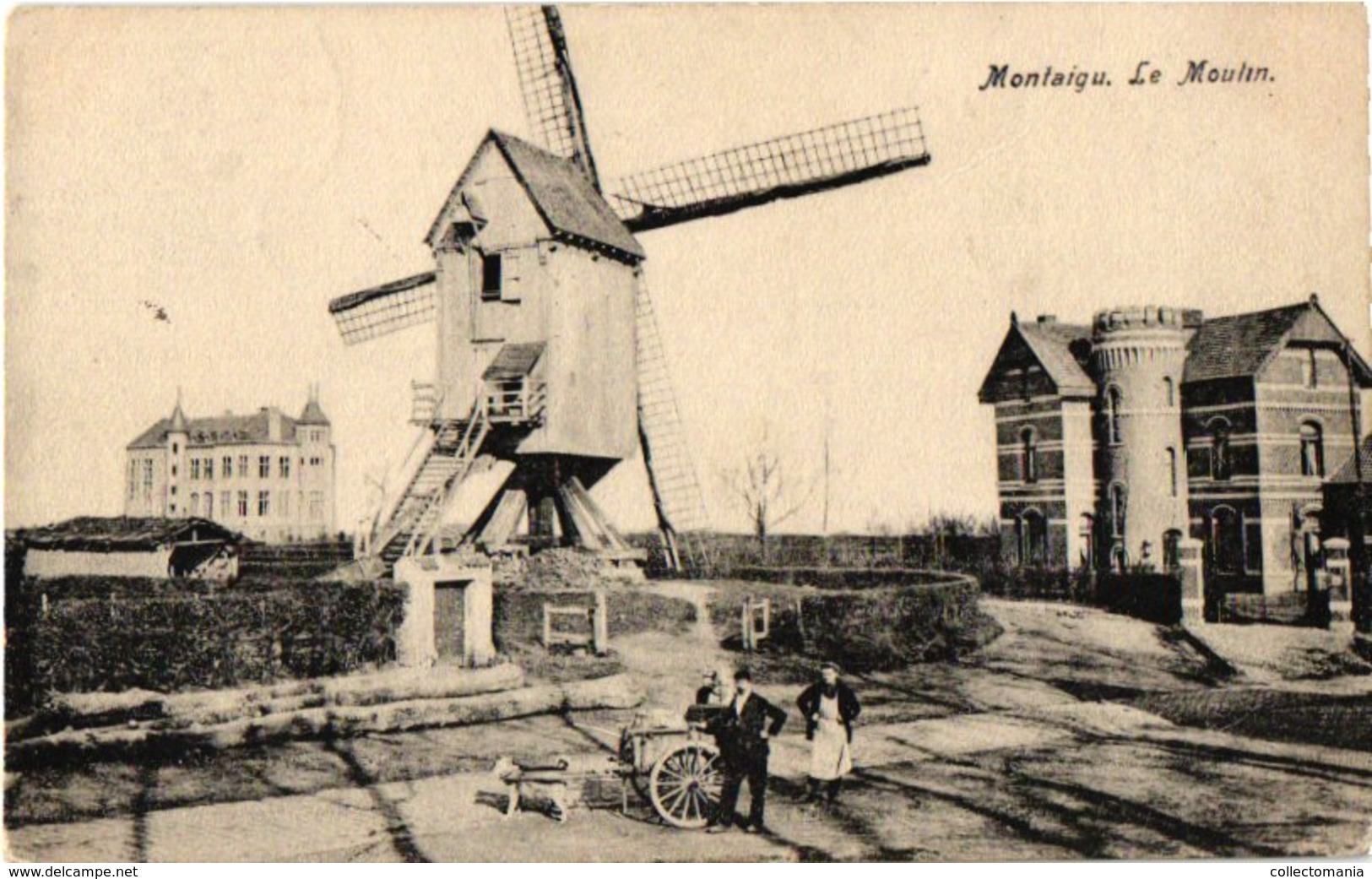 Molen Montaigu  Scherpenheuvel  VOGELS - GROOT Detail - C1911 Hondenkar Attelage De Chiens Vallée Josaphat LATIER VENTER - Fliegende Händler